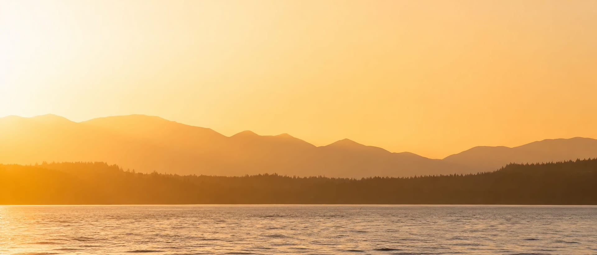 Golden light over Puget Sound with the Olympic Mountain range in silhouette, seen from a sunset cruise in Seattle, WA
